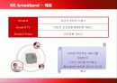SK브로드밴드의 마케팅 전략과 방안 4페이지