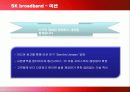 SK브로드밴드의 마케팅 전략과 방안 8페이지