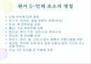 조소 지도안 33페이지