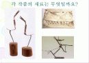 조소 지도안 40페이지
