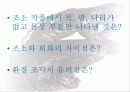 조소 지도안 53페이지