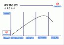롯데칠성 외부, 내부 환경 분석(bcg,plc 곡선,bep계산,swot)등 ppt  21페이지