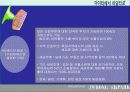 후진국에 대한 경제 성장 방향 및 개선 방안 ppt  27페이지