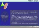 후진국에 대한 경제 성장 방향 및 개선 방안 ppt  28페이지