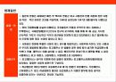 일본 경찰의 이해 3페이지