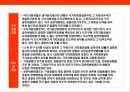 일본 경찰의 이해 11페이지