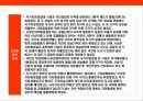 일본 경찰의 이해 13페이지