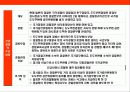 일본 경찰의 이해 17페이지