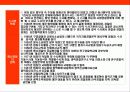 일본 경찰의 이해 19페이지
