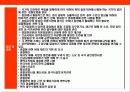 일본 경찰의 이해 25페이지