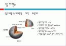 달에 대한 요약정리 3페이지