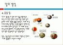 달에 대한 요약정리 8페이지