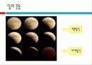 달에 대한 요약정리 13페이지