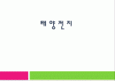 태양전지의 국내외 발전 현황 및 시장 현황 대응방안 1페이지