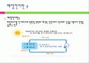 태양전지의 국내외 발전 현황 및 시장 현황 대응방안 3페이지