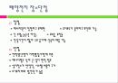 태양전지의 국내외 발전 현황 및 시장 현황 대응방안 4페이지