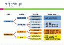 태양전지의 국내외 발전 현황 및 시장 현황 대응방안 5페이지