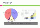 태양전지의 국내외 발전 현황 및 시장 현황 대응방안 6페이지