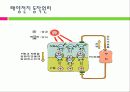 태양전지의 국내외 발전 현황 및 시장 현황 대응방안 9페이지