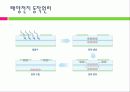 태양전지의 국내외 발전 현황 및 시장 현황 대응방안 10페이지