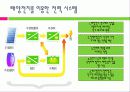 태양전지의 국내외 발전 현황 및 시장 현황 대응방안 11페이지