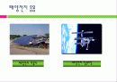태양전지의 국내외 발전 현황 및 시장 현황 대응방안 13페이지