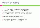 태양전지의 국내외 발전 현황 및 시장 현황 대응방안 14페이지
