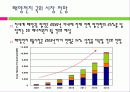 태양전지의 국내외 발전 현황 및 시장 현황 대응방안 17페이지