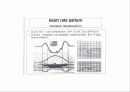 산전태아사정(fetal monitering) 15페이지