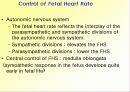 산전태아사정(fetal monitering) 19페이지