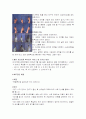 배드민턴의 모든 것 6페이지