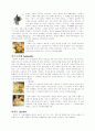 그리스 로마 신화 [인문과학] 15페이지