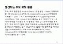 남아프리카공화국 와인 16페이지