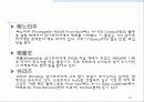 남아프리카공화국 와인 20페이지