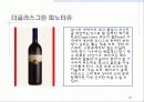 남아프리카공화국 와인 28페이지