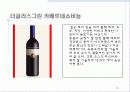 남아프리카공화국 와인 31페이지