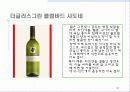 남아프리카공화국 와인 32페이지