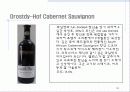 남아프리카공화국 와인 34페이지