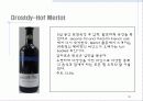 남아프리카공화국 와인 35페이지