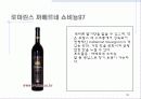 남아프리카공화국 와인 39페이지