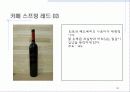 남아프리카공화국 와인 40페이지