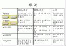 COPD(만성 폐쇄성 페질환) Conference 17페이지