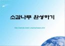 장애이해수업 20페이지