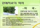 도시와 나무- 원예치료 4페이지