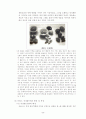동서양 음식문화 비교 분석 10페이지