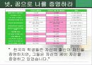 현대사회의과제(고대녀를 통한 대학문제) 32페이지