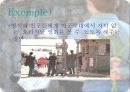 헐리 우드 키드의 생애 분석 22페이지