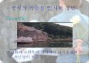헐리 우드 키드의 생애 분석 27페이지