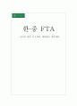 한중FTA-양국의 입장 및 문제점, 해결방안, 향후계획 1페이지