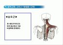 두피 마사지의 이론 8페이지
